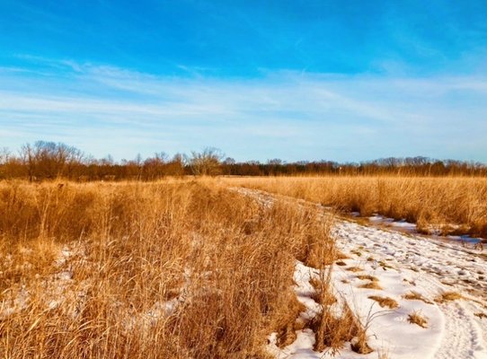 Gwynedd Preserve