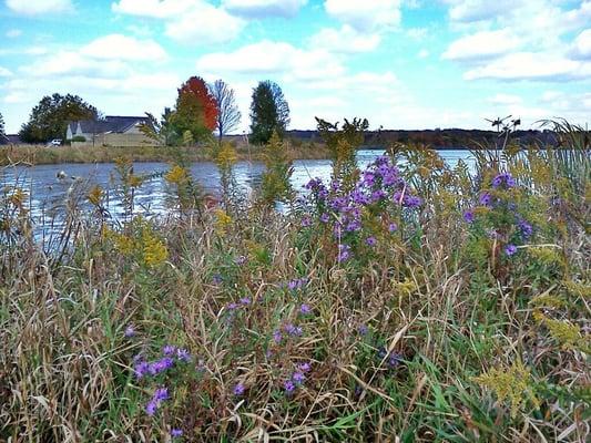 Fall at the lake