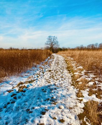 Gwynedd Preserve