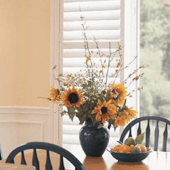 Hunter Douglas Shutters