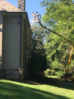 Our lift allows us to handle jobs over 20 ft high. Regardless of property slope, we are able to do the work with no damage to your lawn.