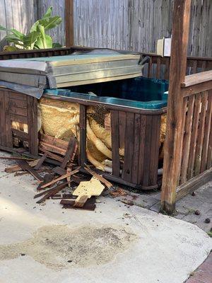 Beehive inside outdoor jacuzzi