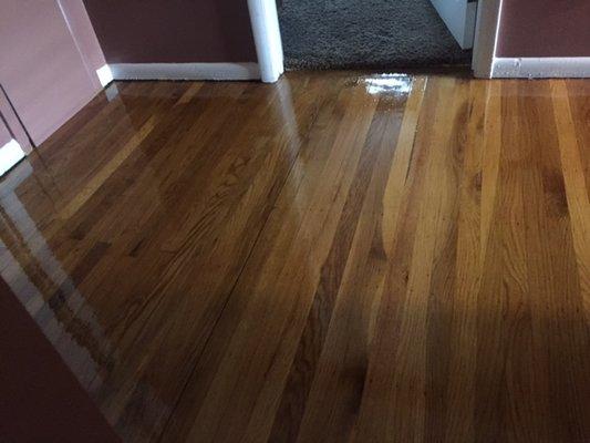 Refinished Oak Floor