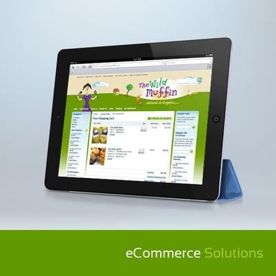 E-commerce website solutions. Sell online and get paid online.