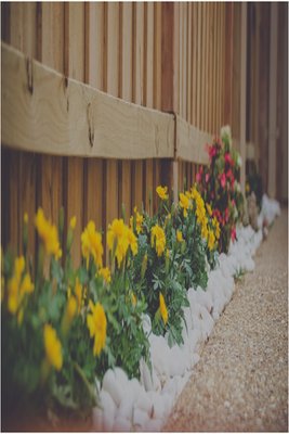 Aurora Fence