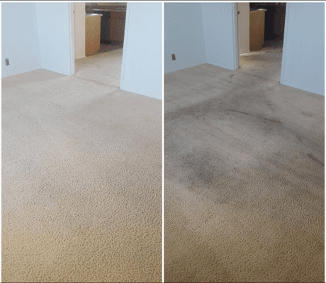 Another carpet stain gone poof!