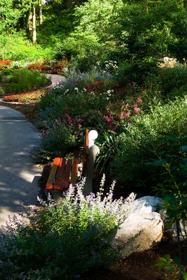 Garden Plantings with Bench