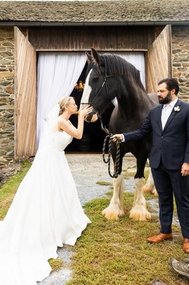 Photos with the Clydesdales is included in all wedding packages at Sylvanside Farm