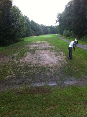 The beautiful tee boxes