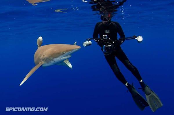 Amazing underwater photo opportunities