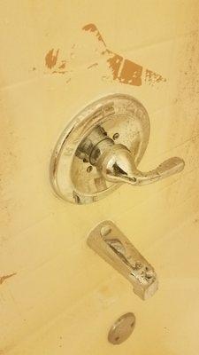 Shower Faucet Replacement