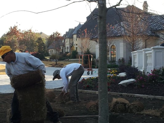 Grass prep and Installation