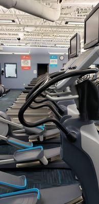 Cardio Equipment