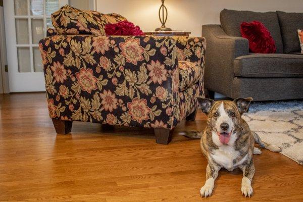 The O'Hare family is loving their new floor! And they have been very pleased with how the commercial grade polyurethane finish is performing