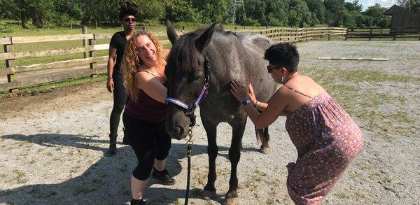 Animal Reiki Training Class