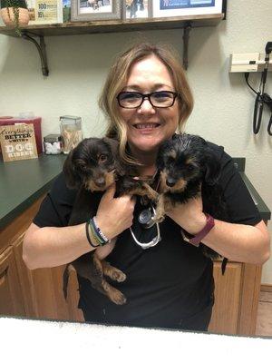 Brazos Animal Hospital