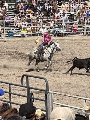 Attica Rodeo