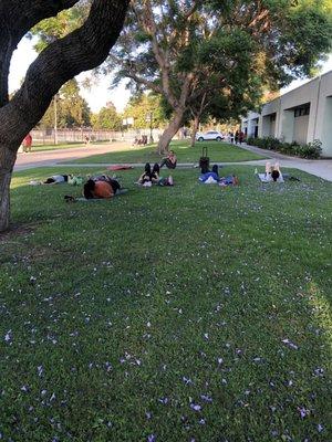 Yoga with Vanessa on the grass!