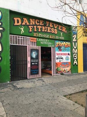 Dance Fever Fitness