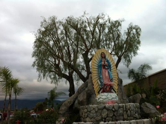 Our lady of Guadalupe