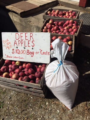 Beemerville Orchards