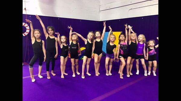 Tiny gymnasts