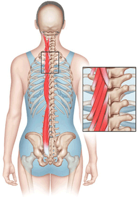 Nick Yoon Physical Therapy Pc