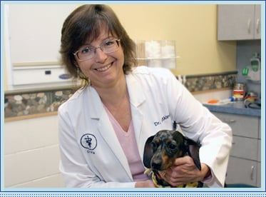 Dr. Linda Atkins has cared for pets as a general practitioner at Valley Cottage Animal Hospital since 1993 and is a co-owner.