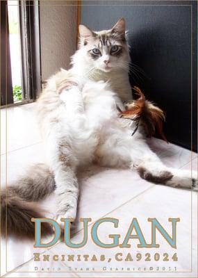 Dugan says thank you for your gentle hands and nice disposition, you made him feel safe and well.