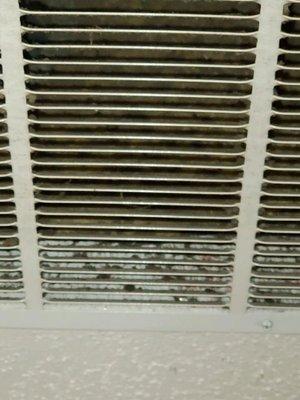 Ventilation intake  Black stuff growing in it.  Property manager refused to clean it