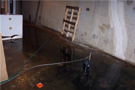 Wet basement inspection for mold and water intrusion