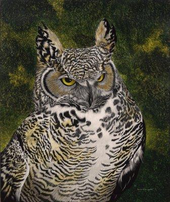 "Whoo Me" Limited Ed. Giclee Print by Dennis Logsdon  727-734-8200  art@plainsmen.com