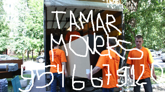 Tamar Movers