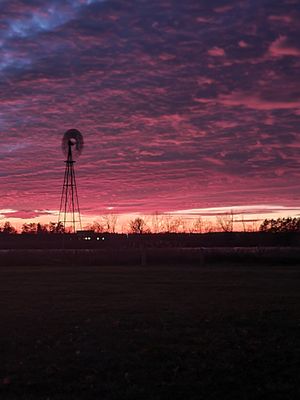 Amazing Sunsets!