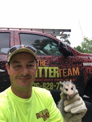 Baby Opossum removed from a house. Reunited with mother and siblings.