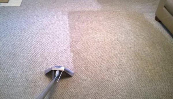 Queen City Carpet Cleaning