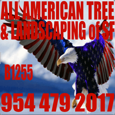 Professional Tree Services