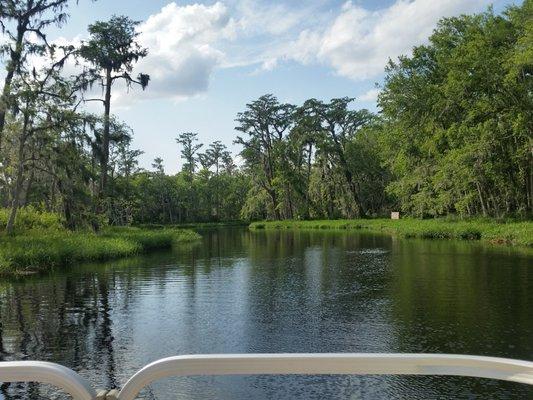 Crooked River in the Clermont Chain of Lakes. Between Lake Susan & Louisa May 2018