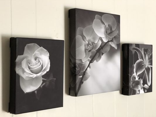 Canvas wall Art, Black and White, original photography by RAD Creative Art