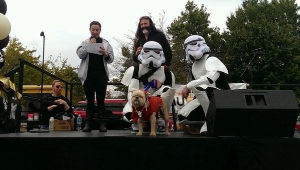 7th Annual PAWS Mutt Strut Best In Show Costume Contest Winner Winston the Ewok & his Stormtrooper companions!