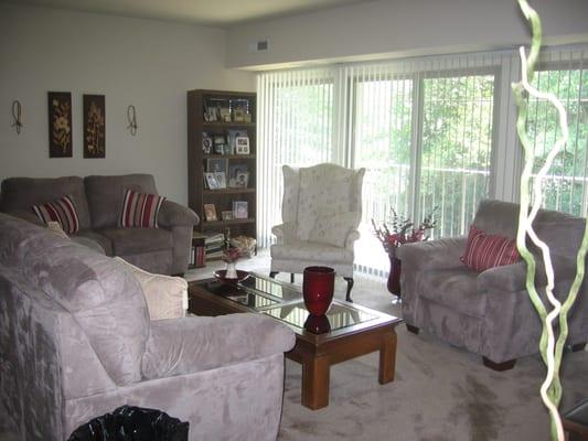 Spacious living room with energy efficient balcony doors