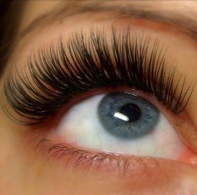 Dream Lashes