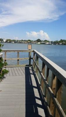 View from the boardwalk.