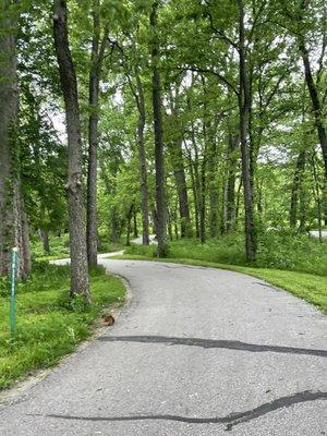 Green belt trail