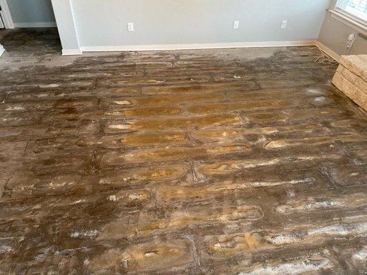 Moisture that damaged our flooring as a result of not installing a vapor barrier.