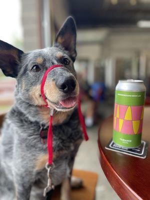 Variance beer can and dog friendly brewery