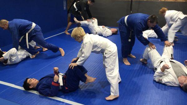 Brazilian Jiu Jitsu Class