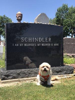 Another beautiful sight at Bet Olam Cemetery in Beachwood, Ohio.