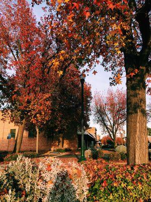 The Autumn game of Hazel Street in Gridley is strong!