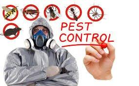 Metro Pest Control